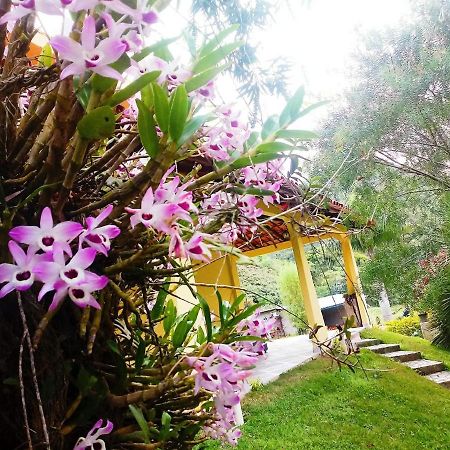 Casa Com Flores ペドラ・アズール エクステリア 写真