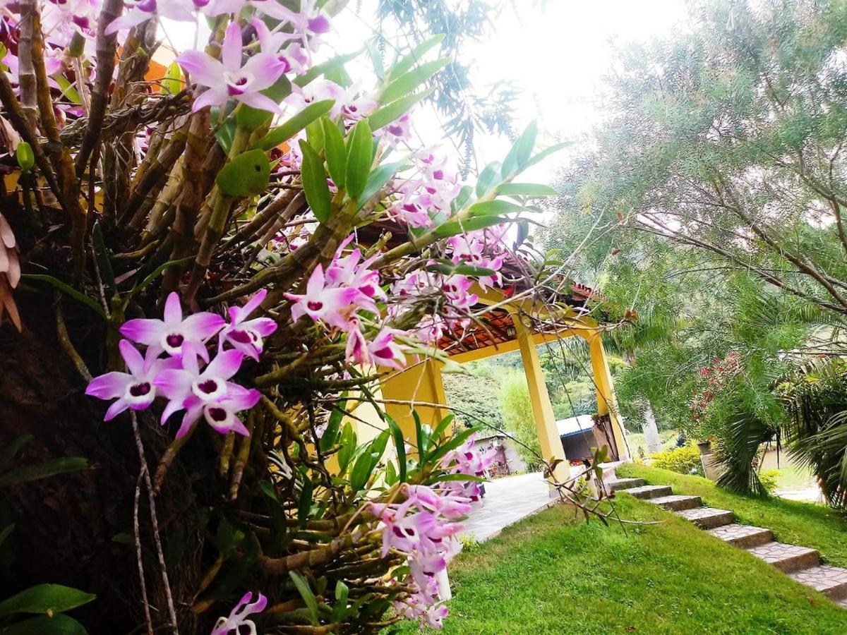 Casa Com Flores ペドラ・アズール エクステリア 写真