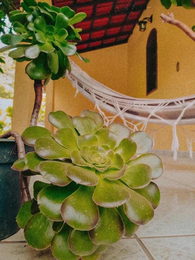 Casa Com Flores ペドラ・アズール エクステリア 写真